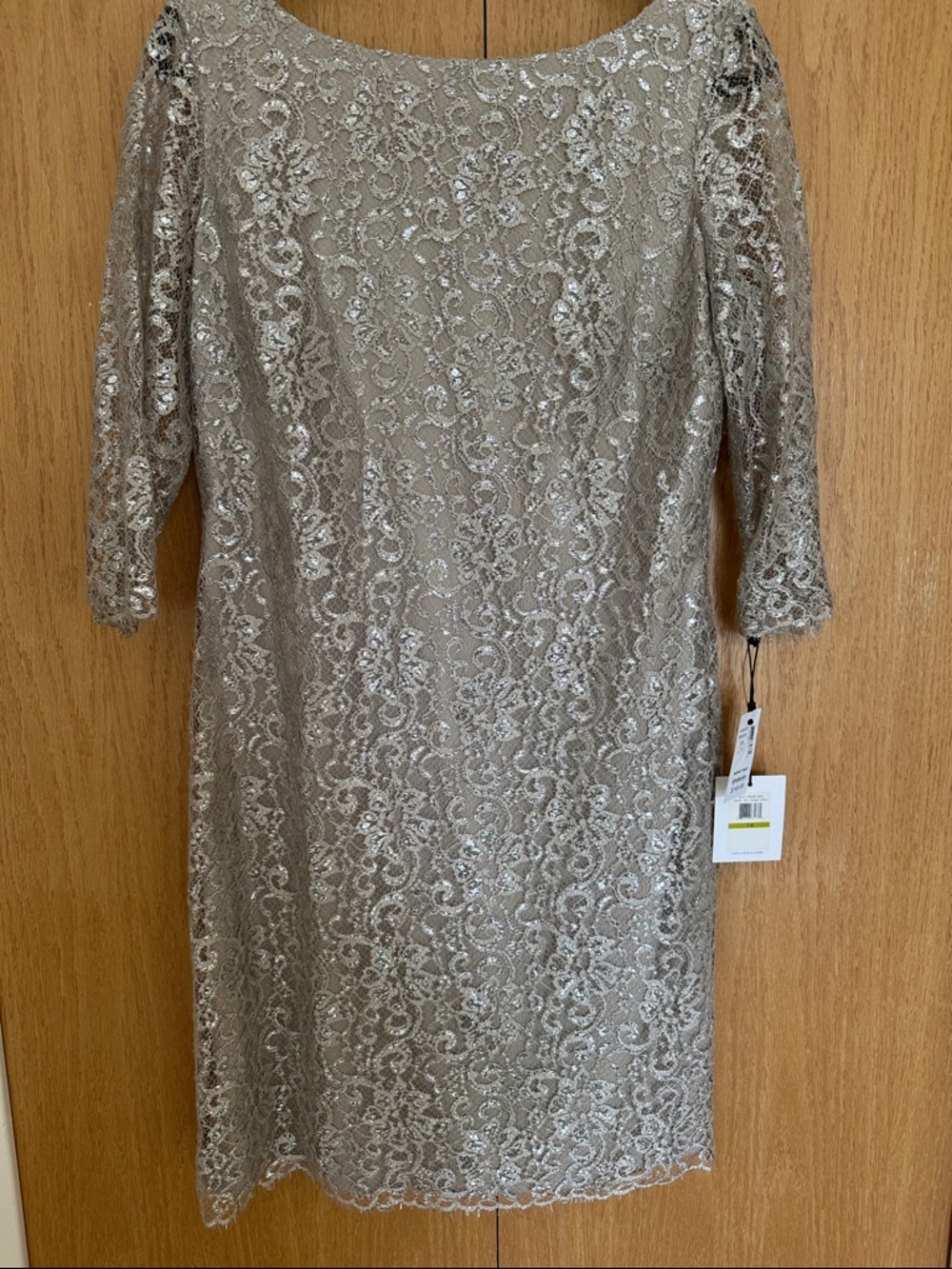 Elegant Lace Cocktail Dress in Champagne/Silver